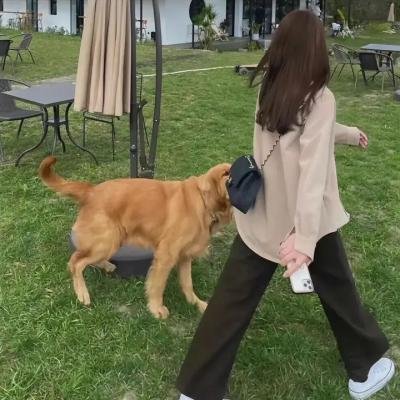 刚果